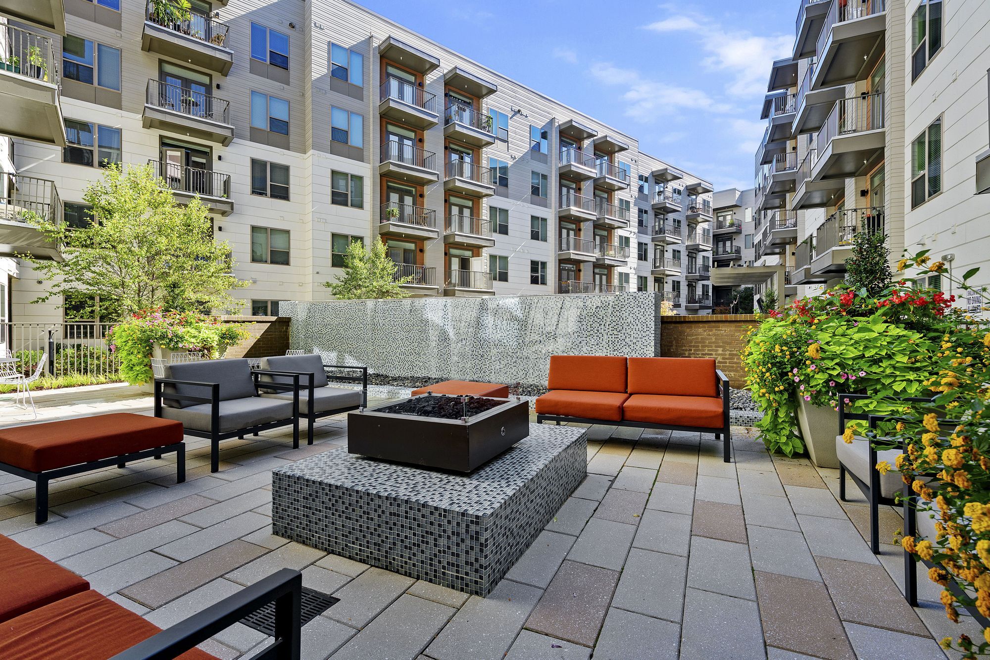 Cortland NoDa Image 21