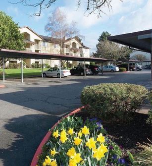 Lumina Apartments Image 35