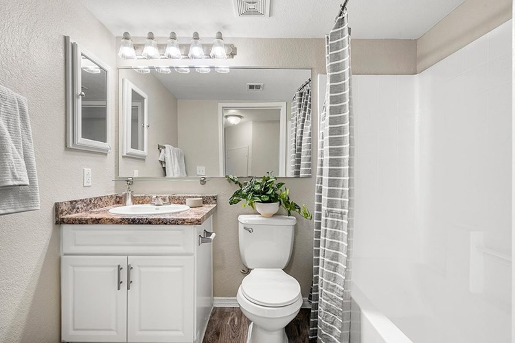Beautiful remodeled bathrooms featuring wood-style flooring, granite-style counter tops, and large mirrors.