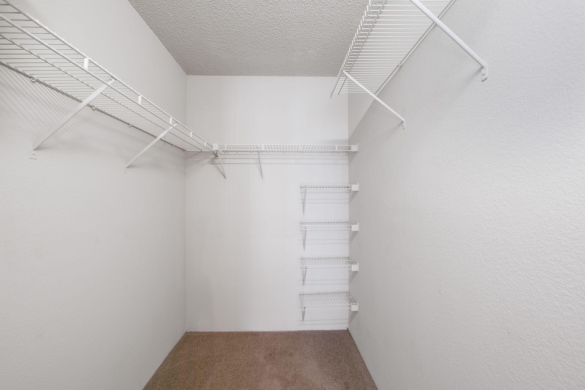 Valencia Plantation Image 6