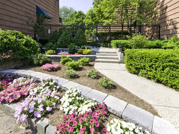 Apartments at 65 Dwight Street Image 4