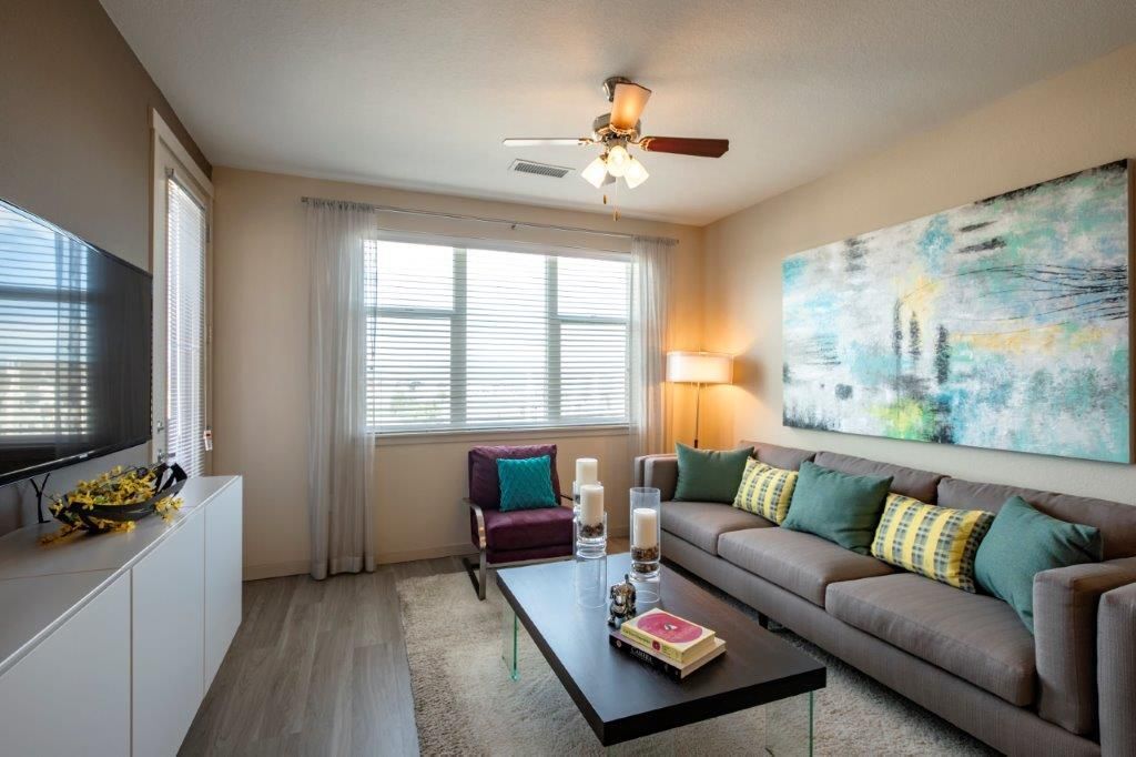 Elevation At County Line Image 5