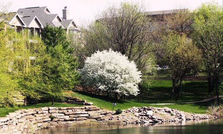 The Crossings Apartments Image 1