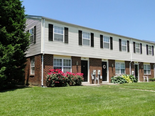 The Village Of Carrollwood Image 3