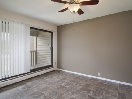 Shadow Green Image 8