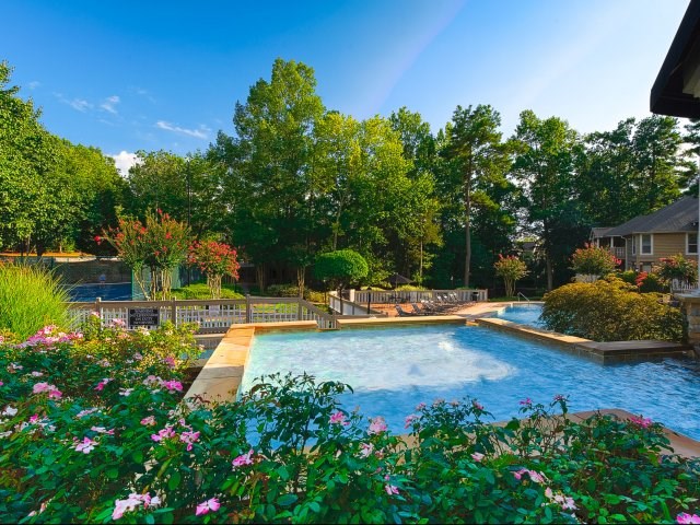 Professionally Maintained Pool & Sundeck
