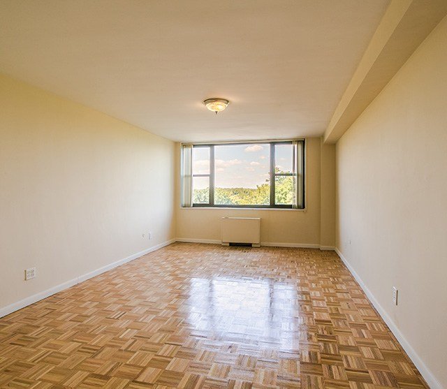 The Colony House Image 7