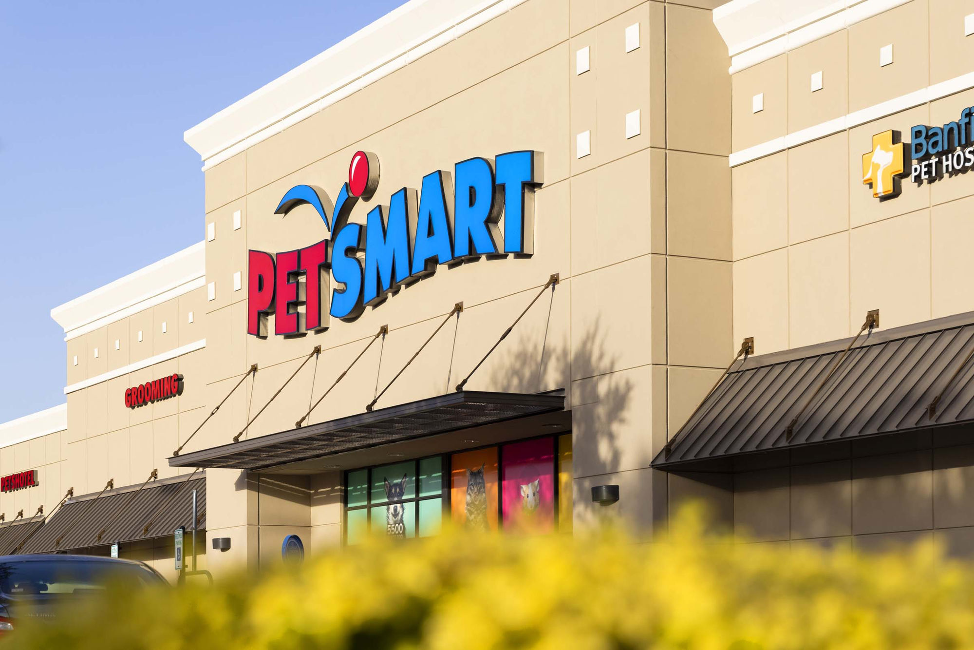 Camden Greenville Image 79