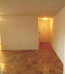 Scott Street Apartments Image 3