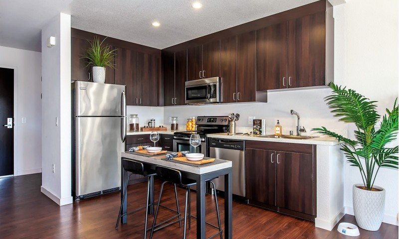 Vara San Francisco See Pics Avail Vara For Rent