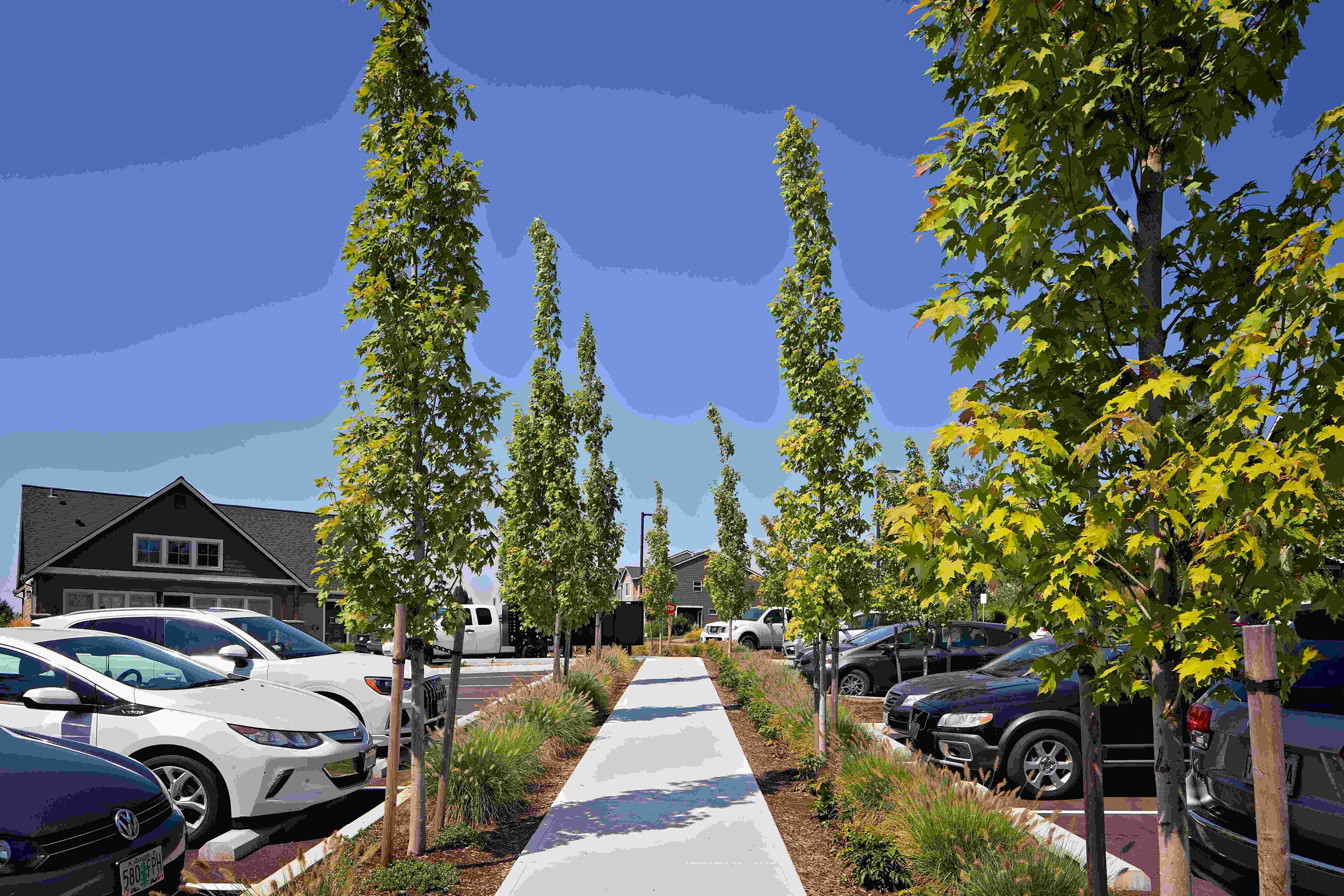 The Elwood Image 25