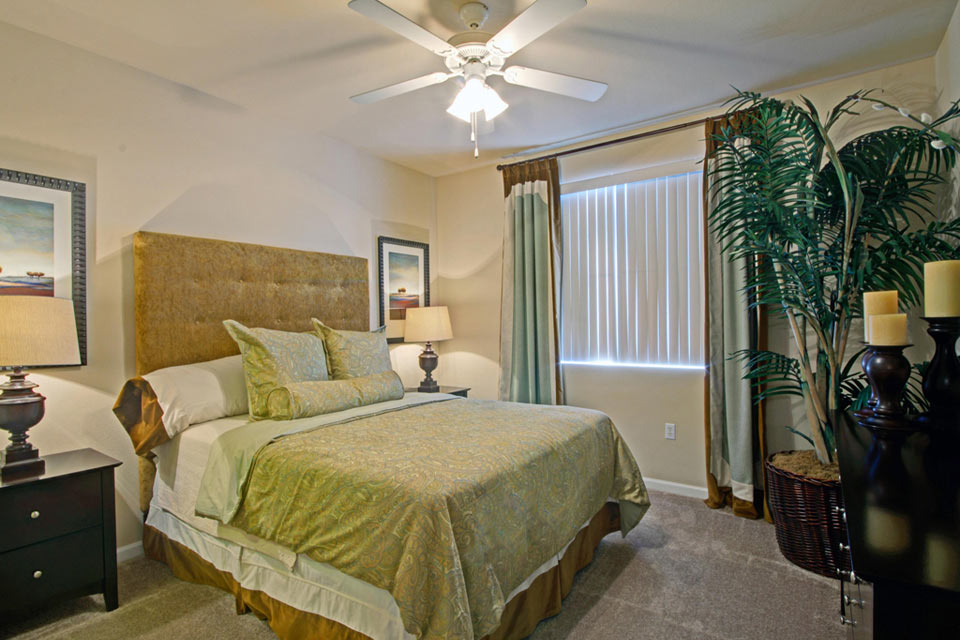Master suites feature walk-in closets