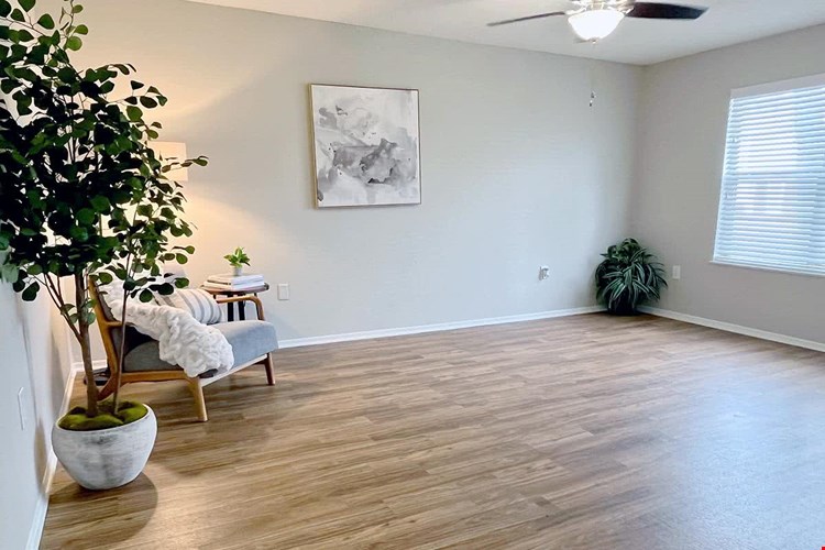 You'll love our spacious, open living rooms featuring wood-style flooring, and a multi-speed ceiling fan.