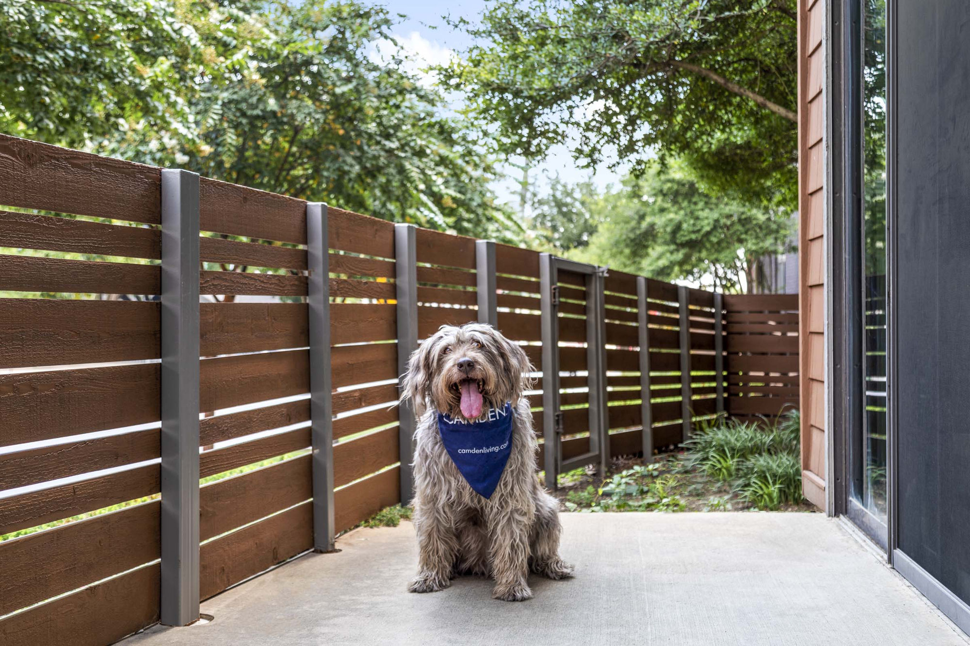 Camden Henderson Image 19