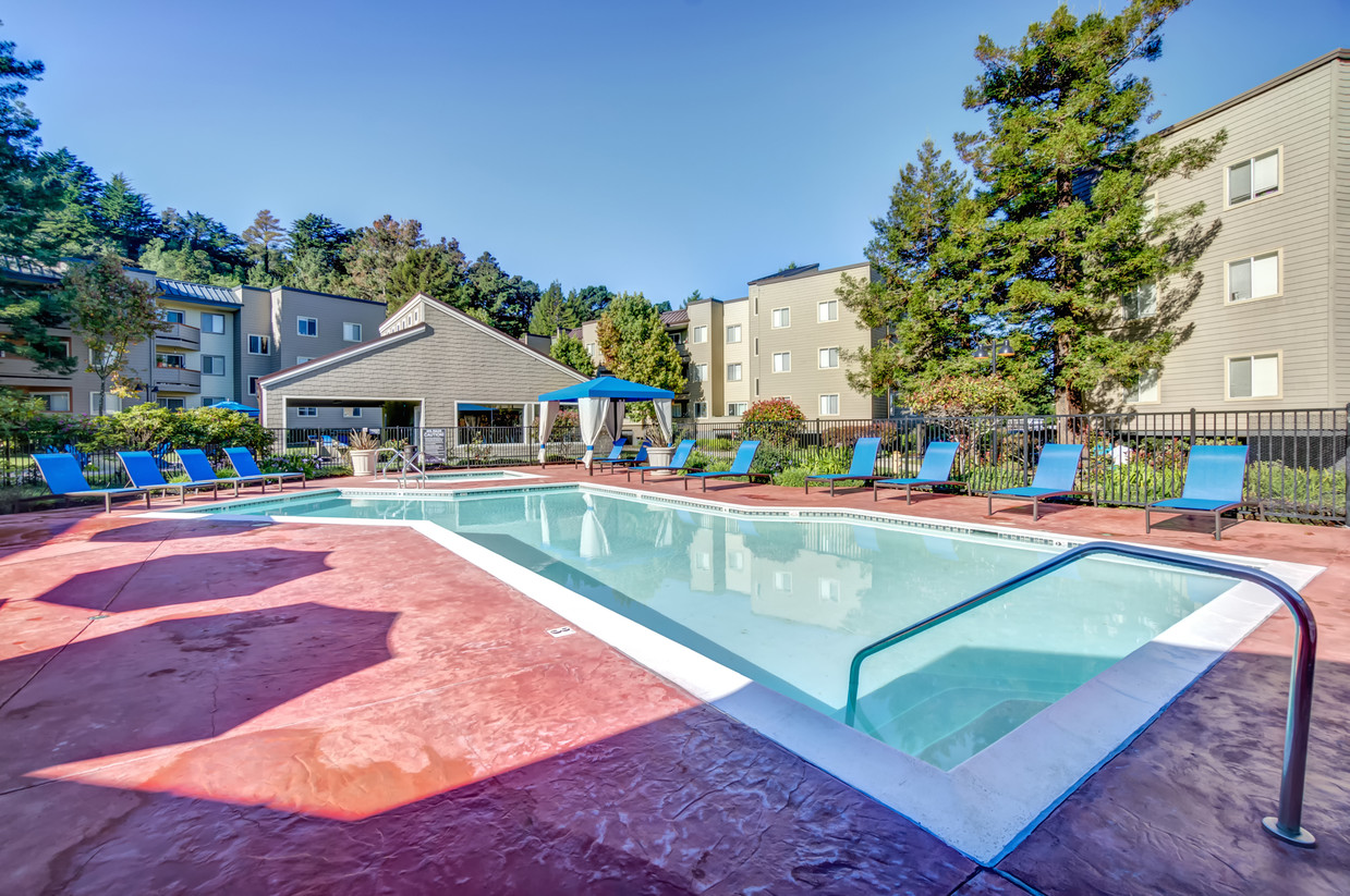 Serramonte Ridge Apartments Image 15