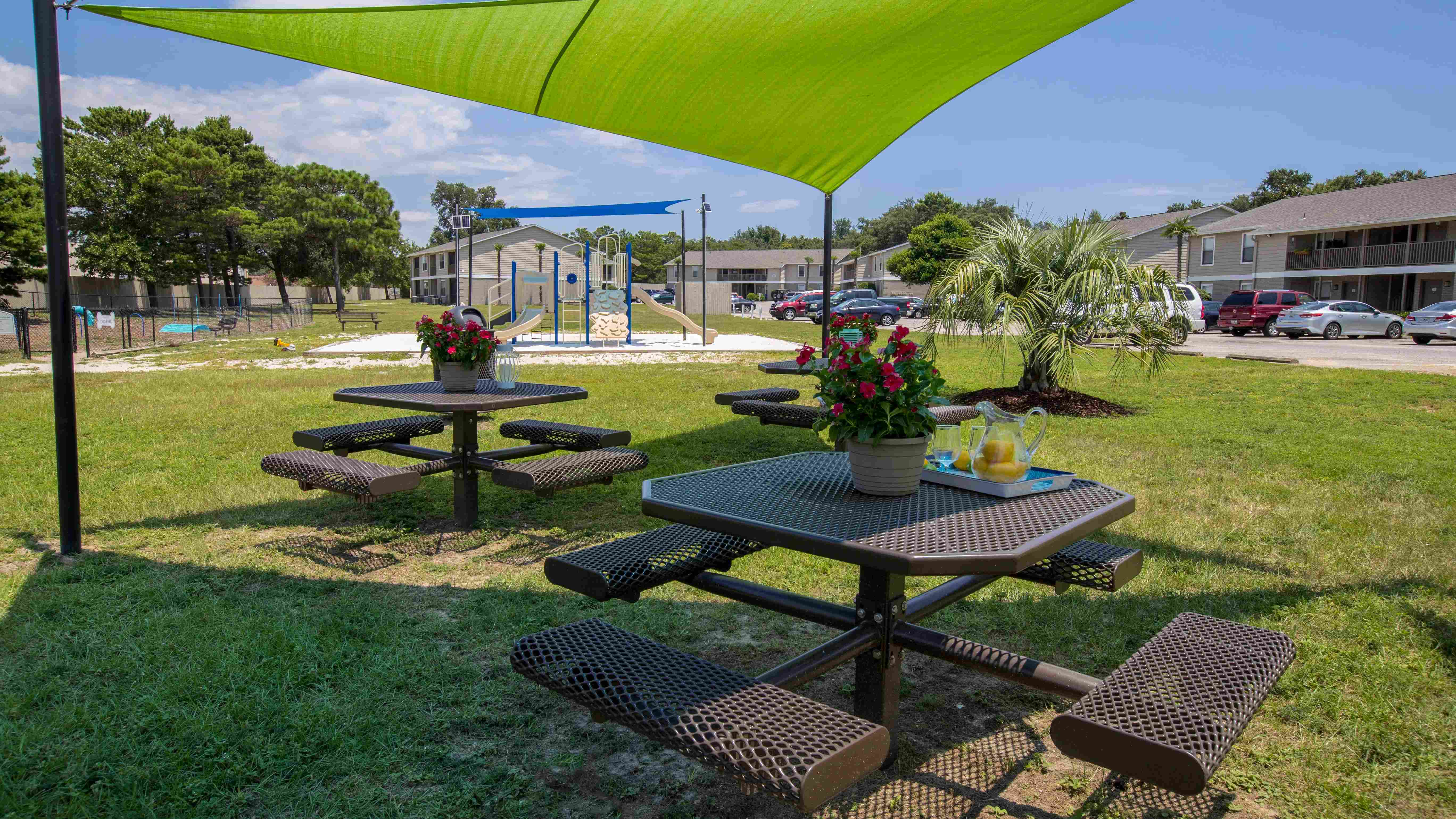 Enjoy a delightful picnic in our designated recreation area with relaxing hammocks, a cornhole court, and a fun playground. 