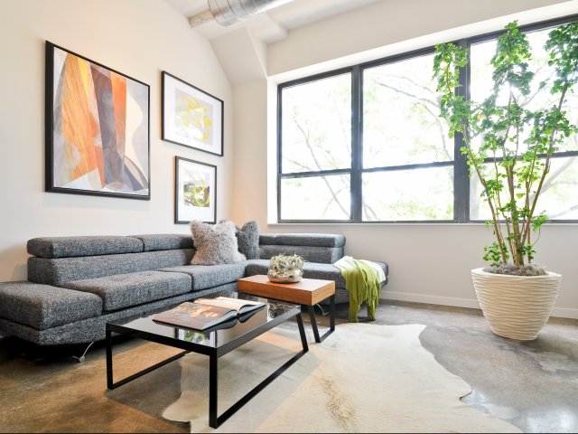 Brand New Loft Apartments