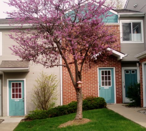 Cascade Ridge Image 3