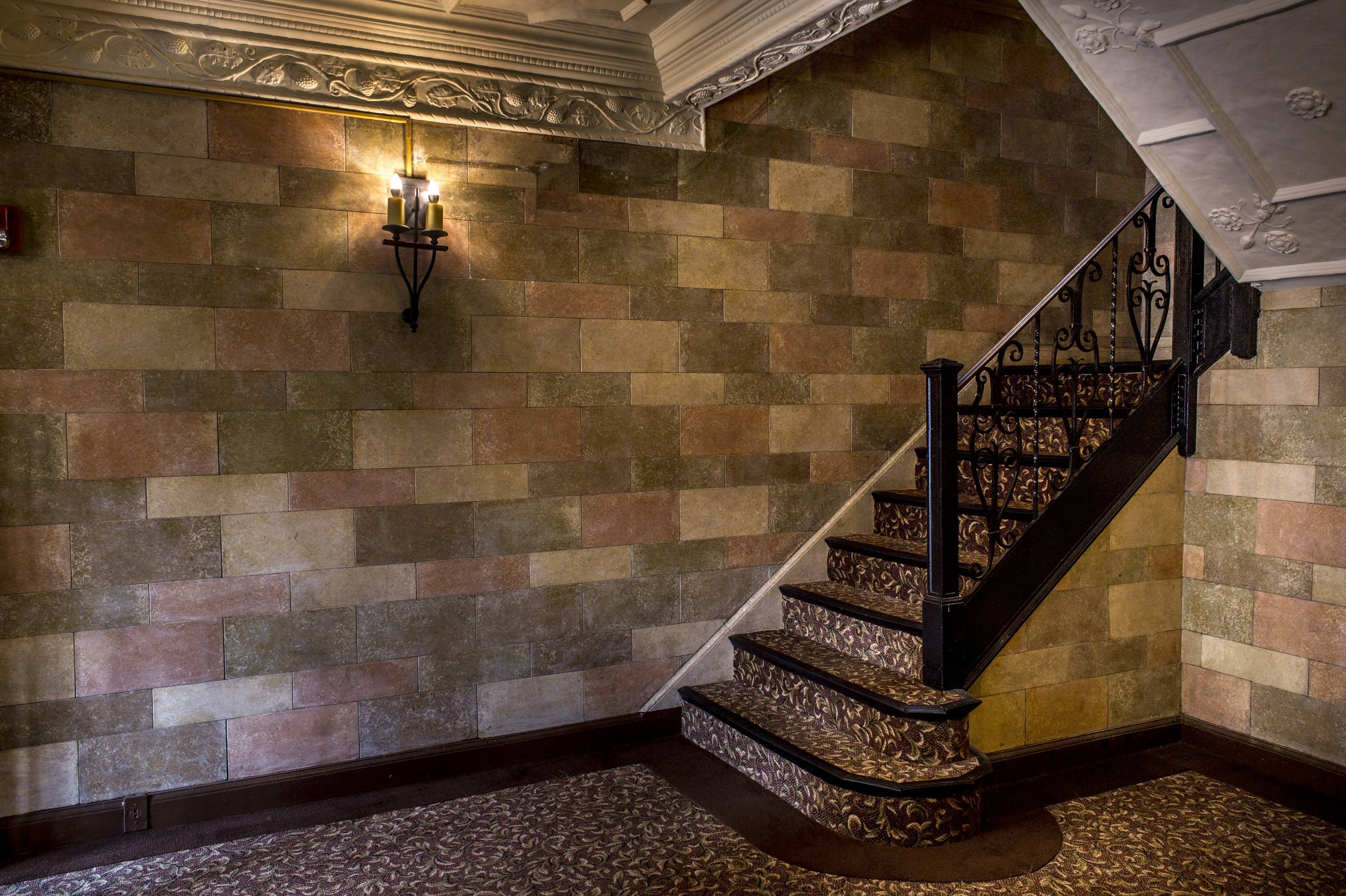 Elmwood Apartments Image 7