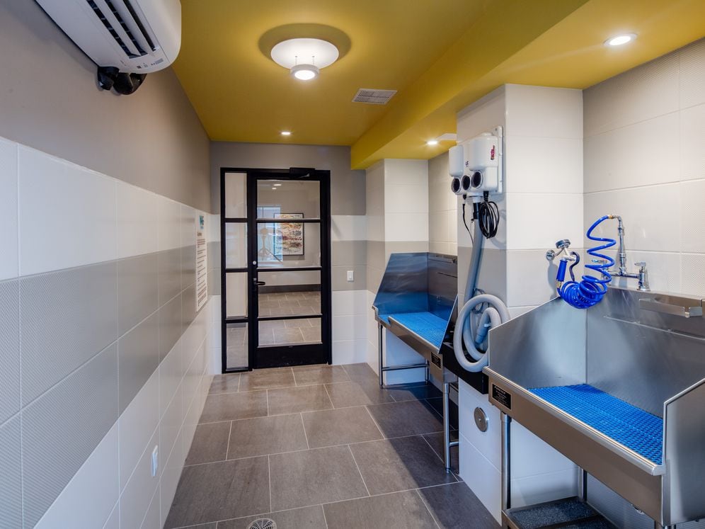 WAG pet spa with grooming and bathing equipment