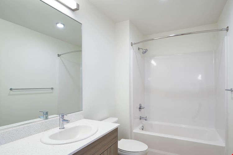 Springline  Image 18