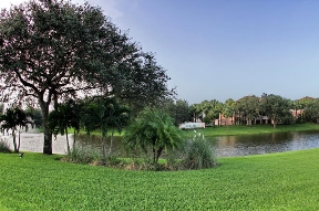 The Grove at Turtle Run Image 11