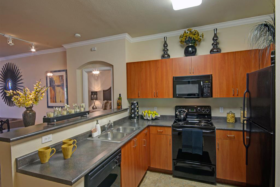 Fully equipped kitchens with sleek black appliances
