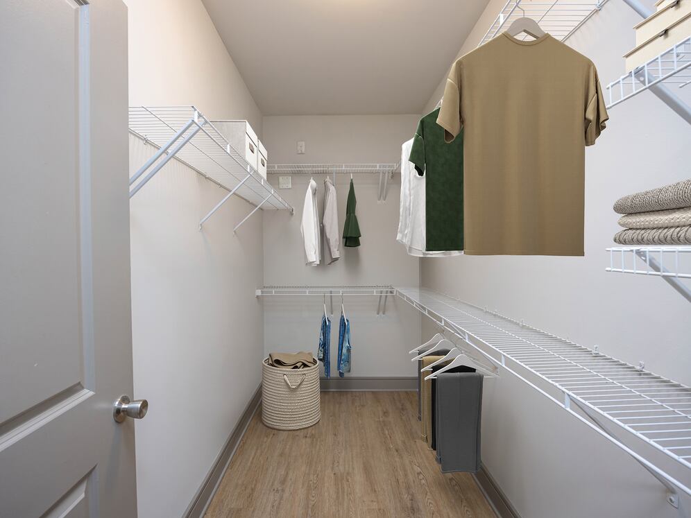 Spacious walk-in closet