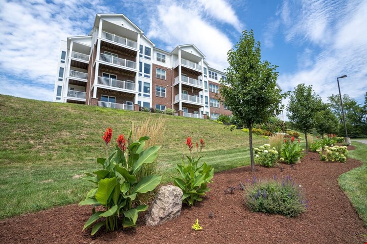 Bright Oaks Image 3