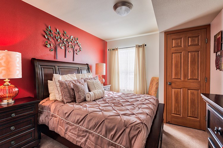 The Belcaro  Image 5