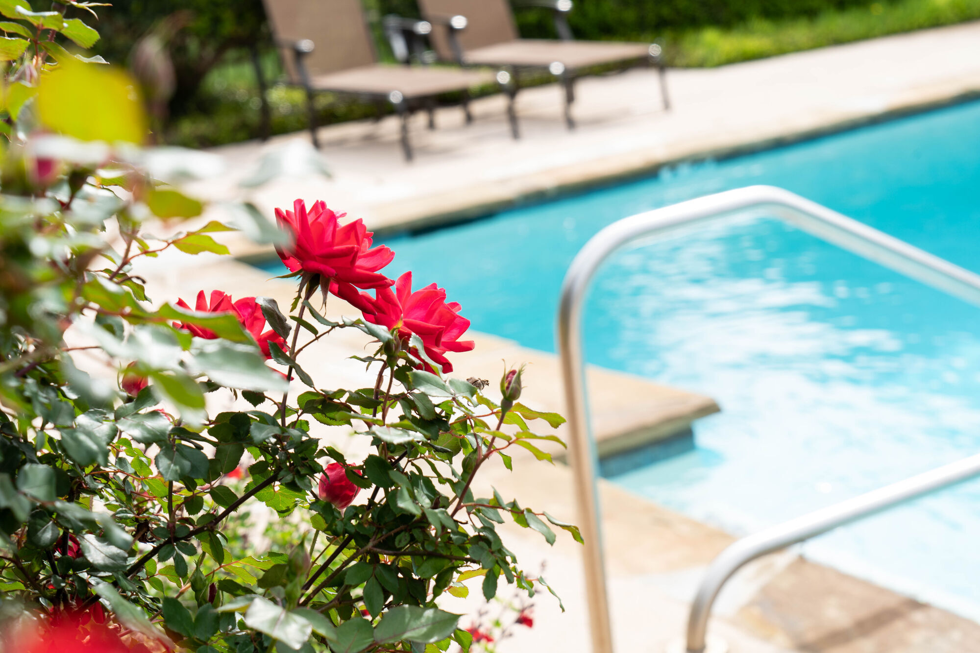 The Savoy Apartments Image 15