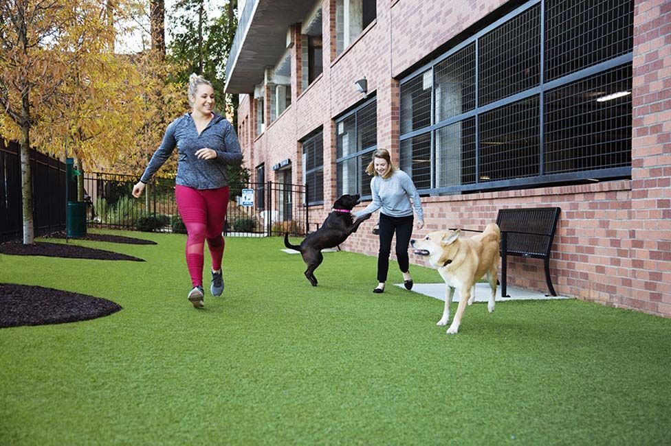 Camden Buckhead Square Image 24