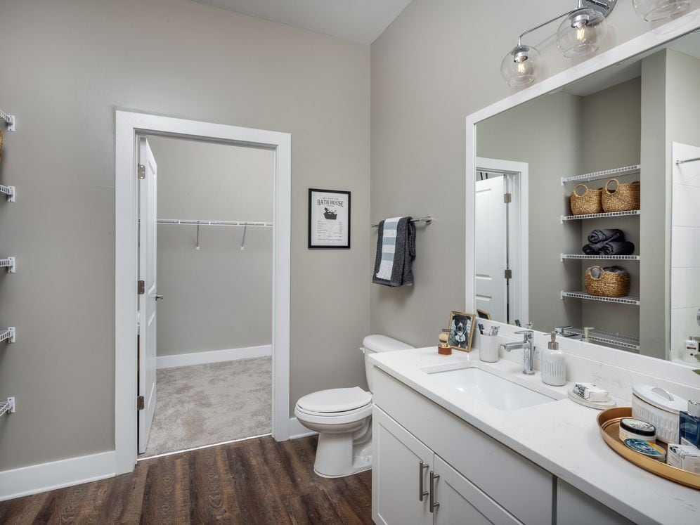 Scheme 2 Bathroom and Walk-in Closet