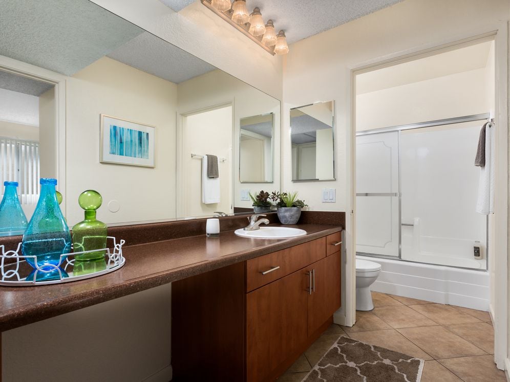 Two Bedroom Apartment Master Bath