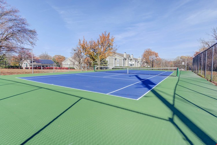 Bonhomme Village Image 14