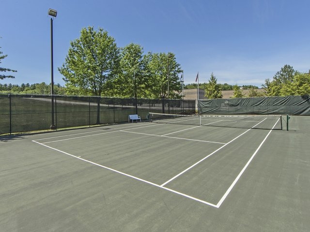 Hampshire Green Image 3