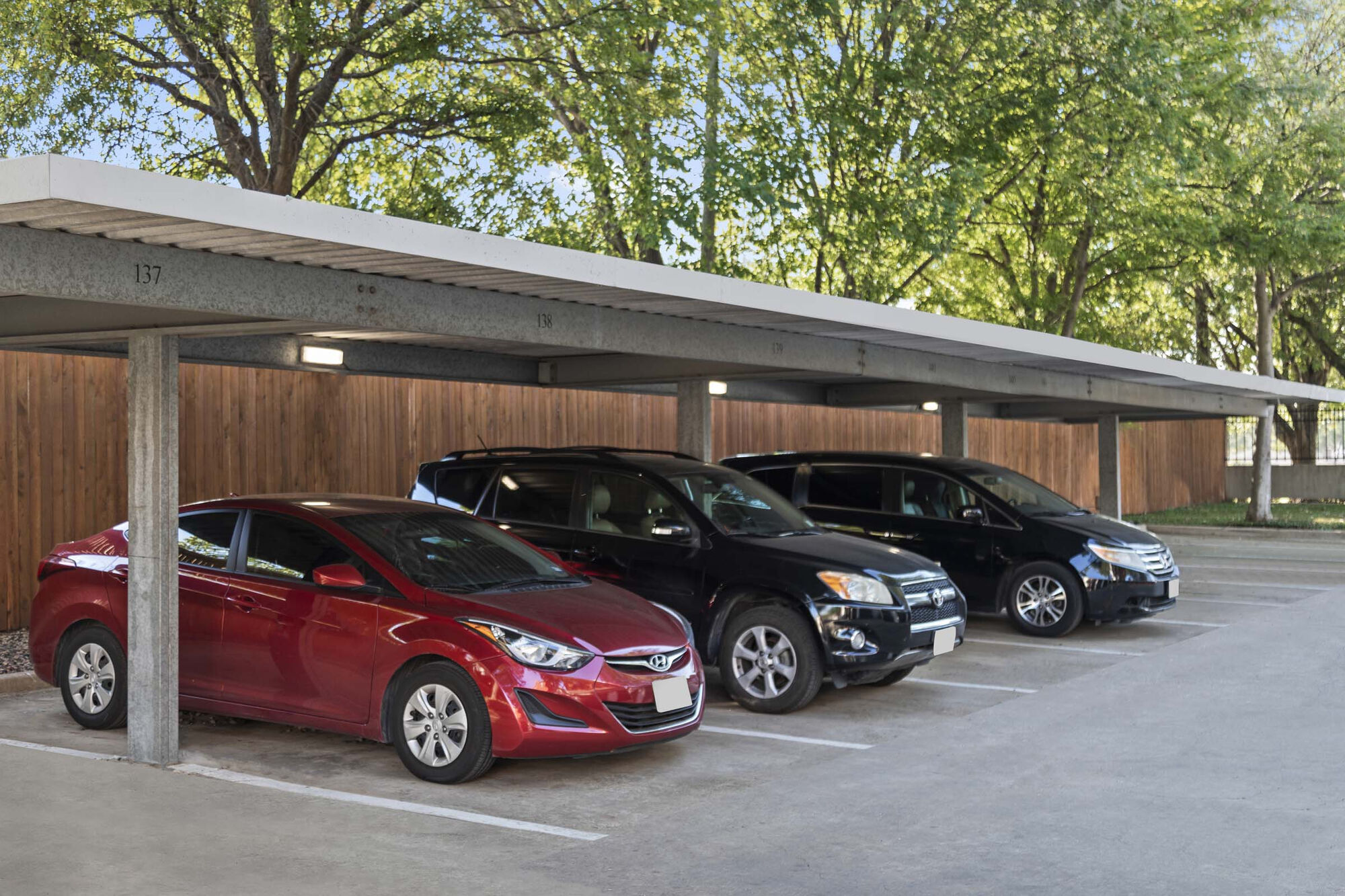 Camden Buckingham Image 14