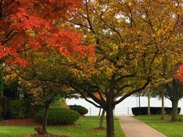 Mariners Landing Apartments Image 17