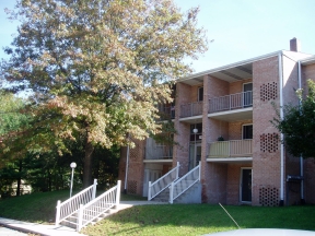 Eagle Stream Image 15