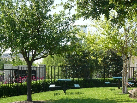 Spicewood Crossing Image 9