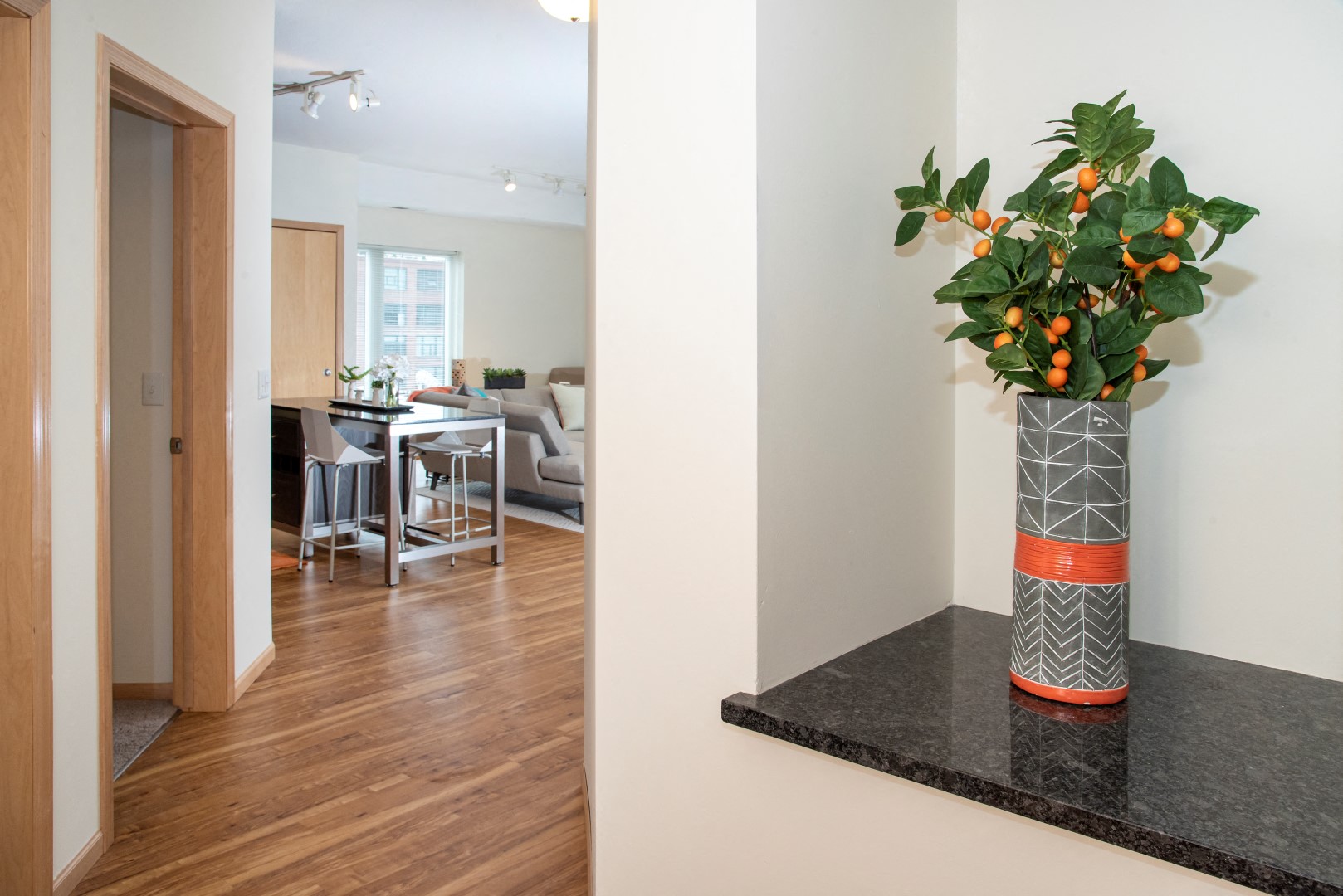 Third North Image 42