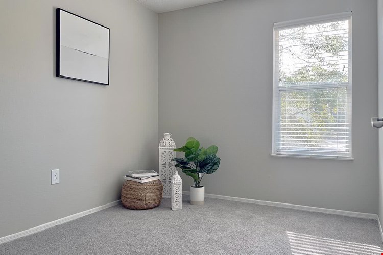 All bedrooms feature large windows allowing natural sunlight to shine through.