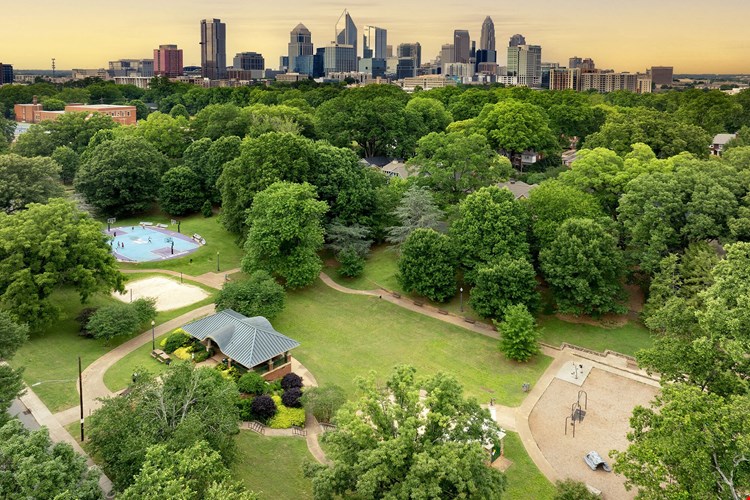 Camden Dilworth Image 24