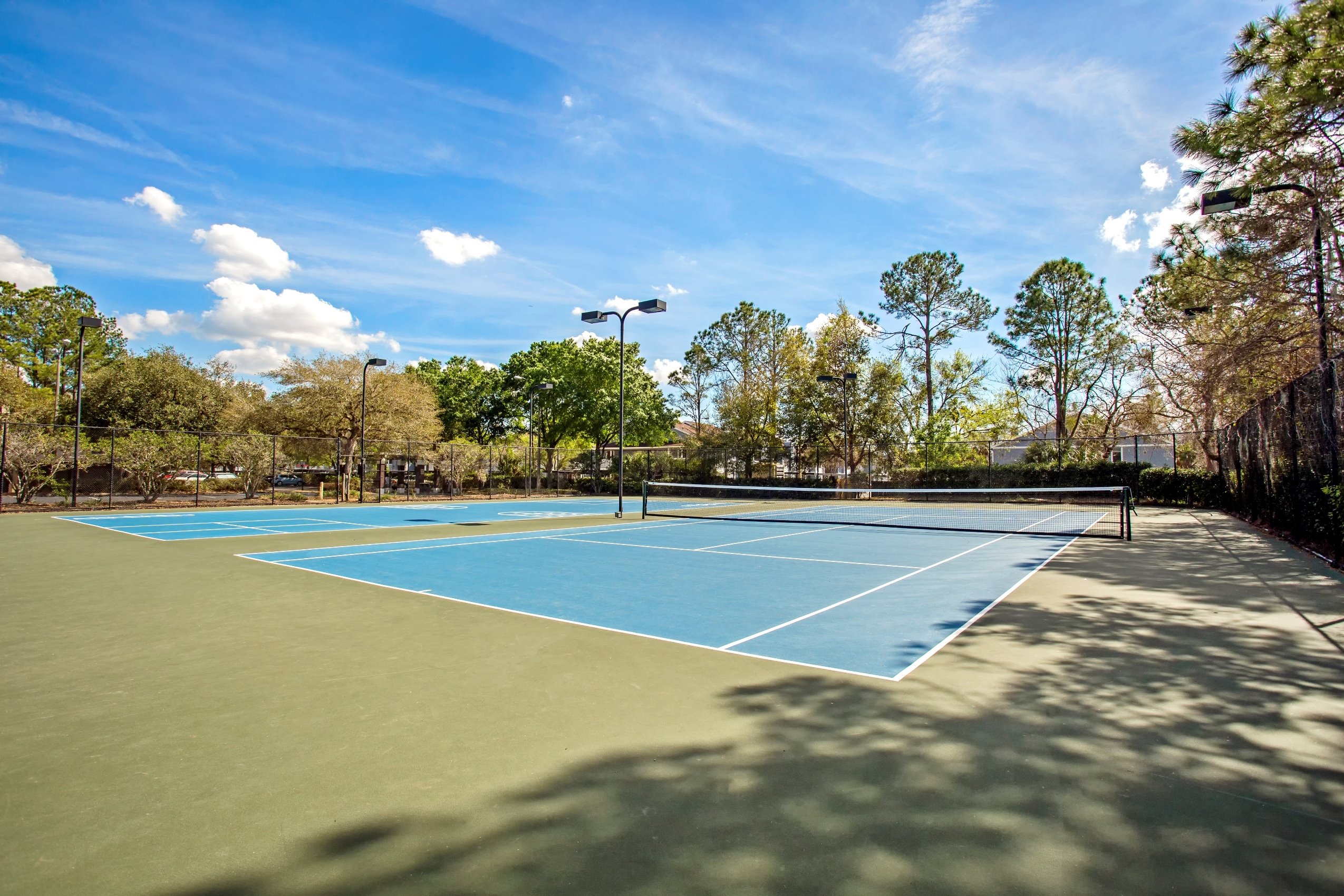 Sabal Palm at Carrollwood Image 18