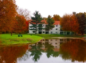 Fox Run Image 2