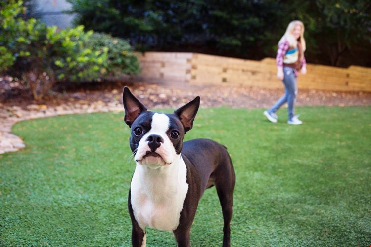 Camden Brookwood Image 25