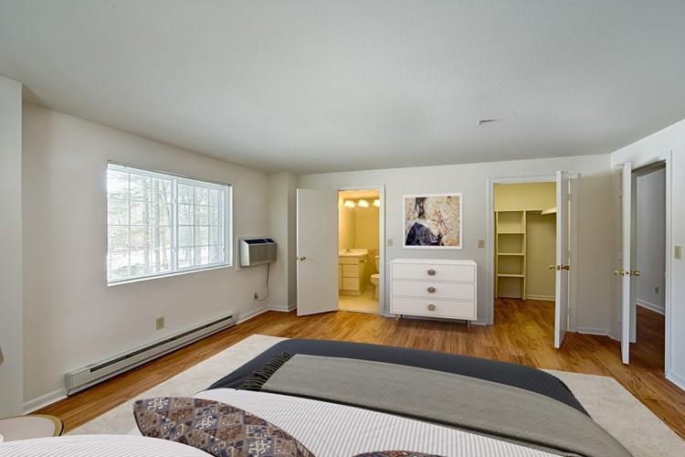 Large master bedroom with walk-in closet and private bathroom