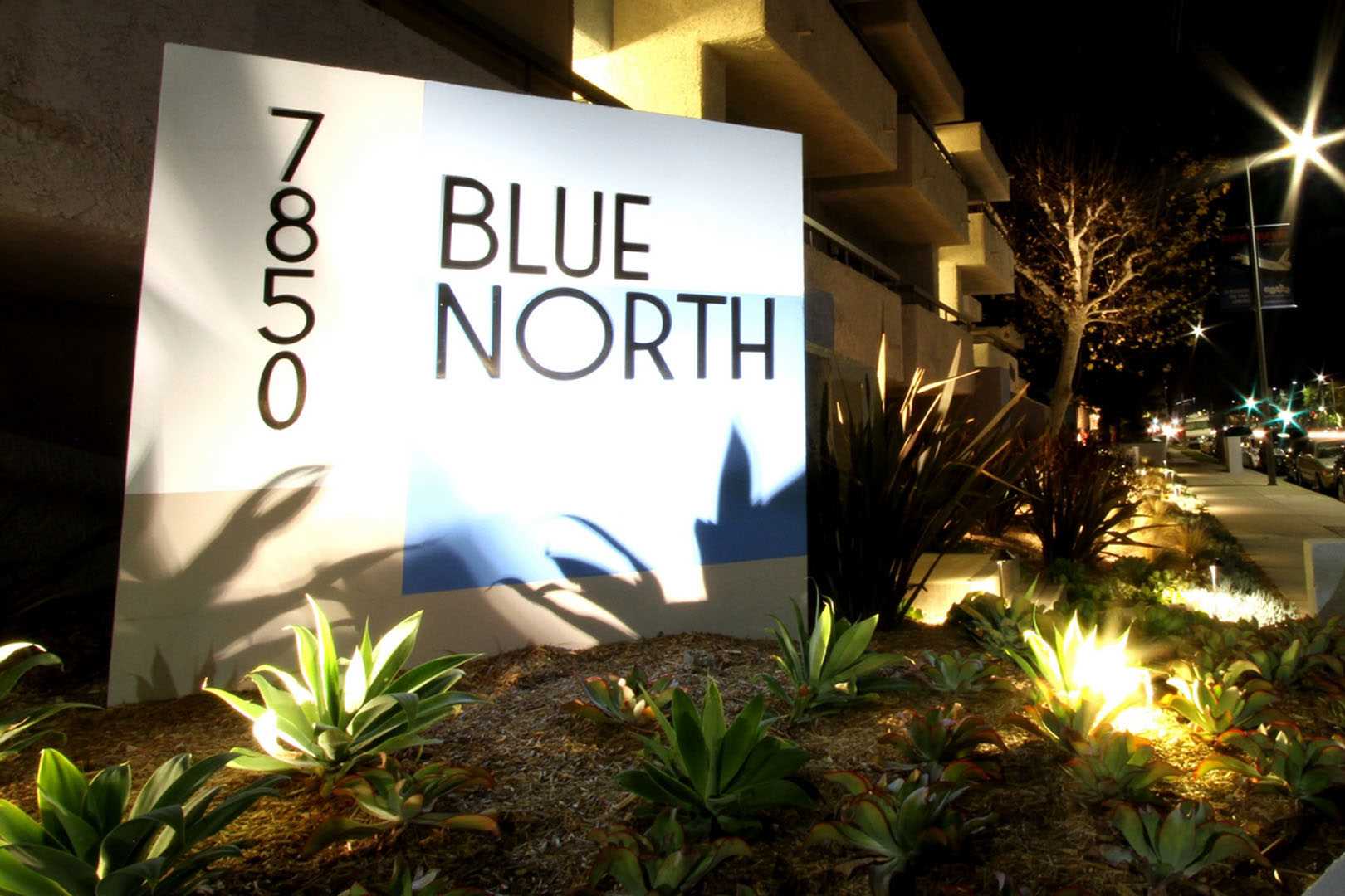 Blue North Image 18