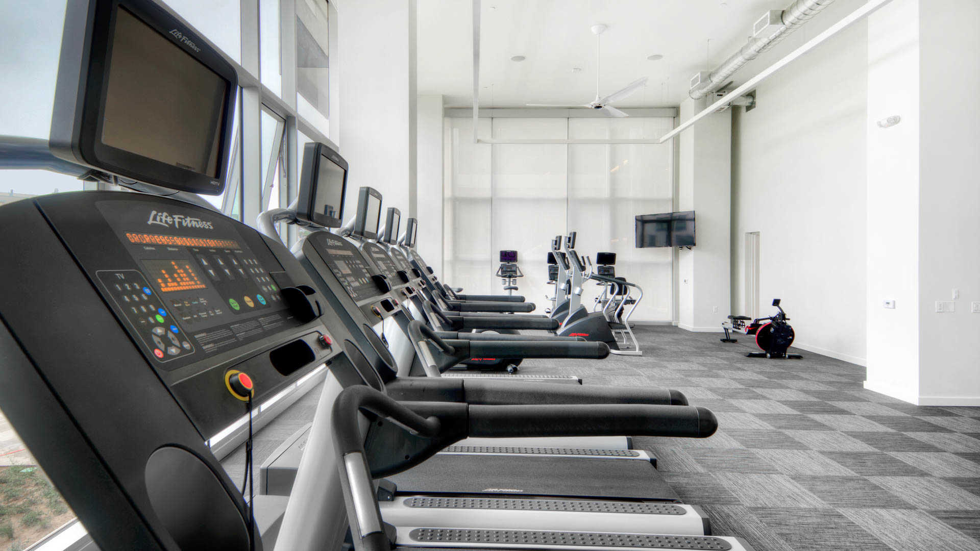 Potrero 1010  Image 40