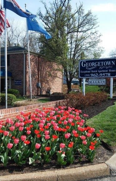 Georgetown Apartments Image 2